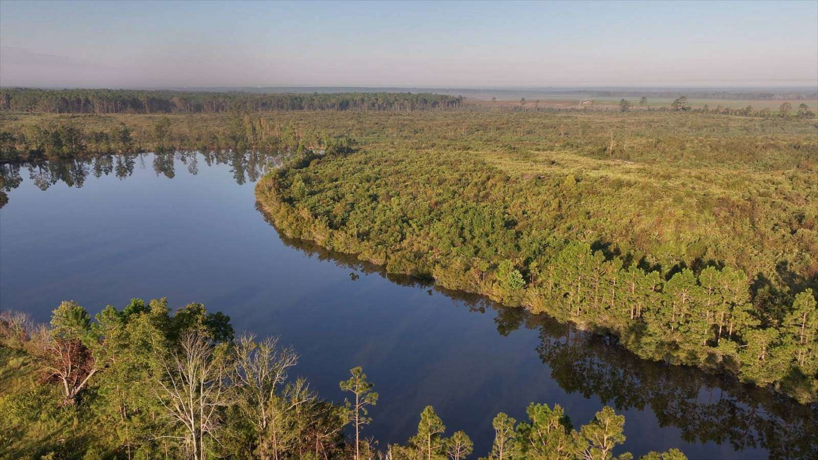 203 Acres of Land for Auction in Eastman, Georgia