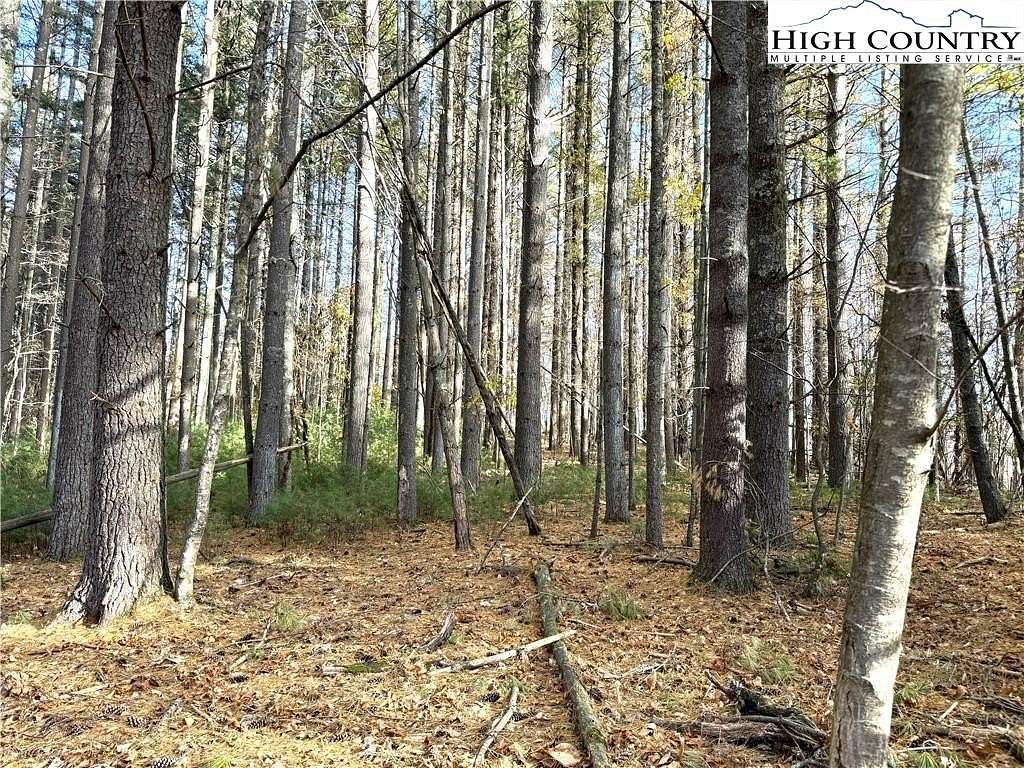 4 Acres of Residential Land for Sale in Ennice, North Carolina