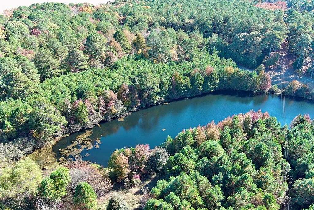 21.9 Acres of Land for Sale in Parksley, Virginia