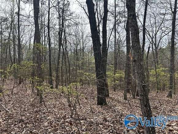 12 Acres of Land for Sale in Eva, Alabama