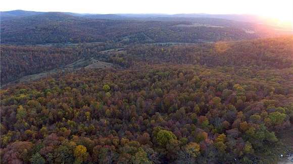 37.5 Acres of Recreational Land for Sale in Witter, Arkansas