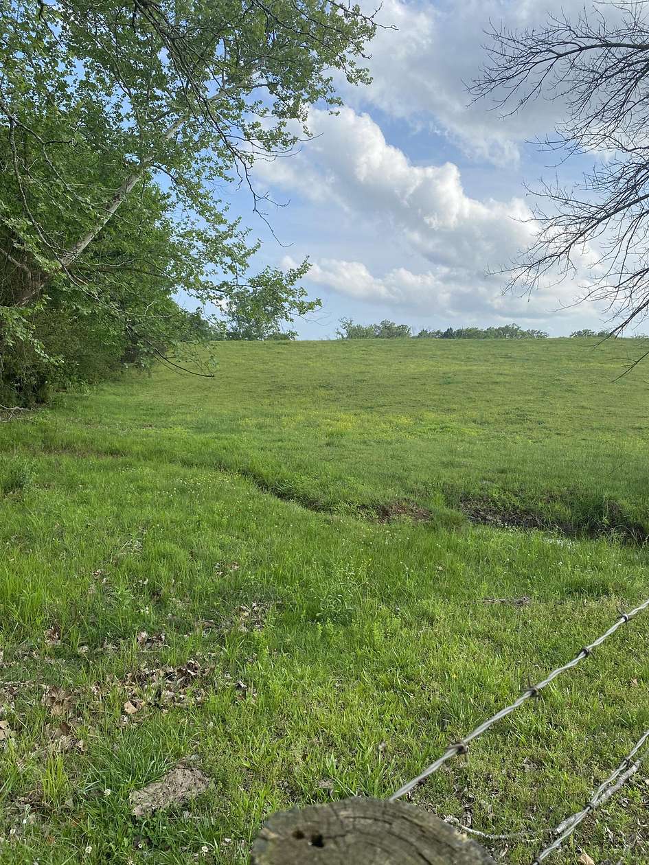 19.7 Acres of Land for Sale in Appleton, Arkansas