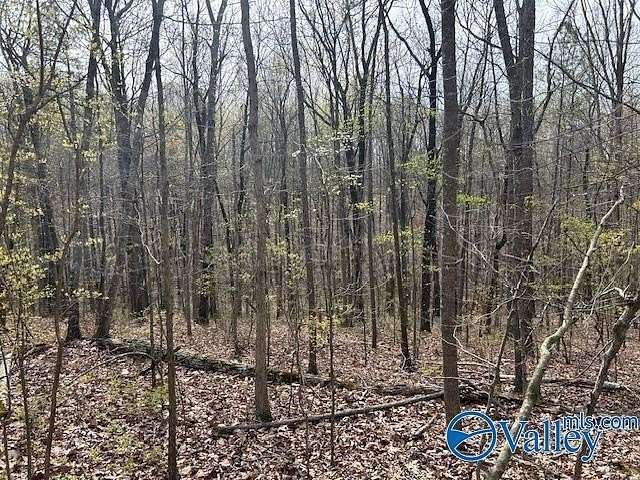 39 Acres of Land for Sale in Eva, Alabama