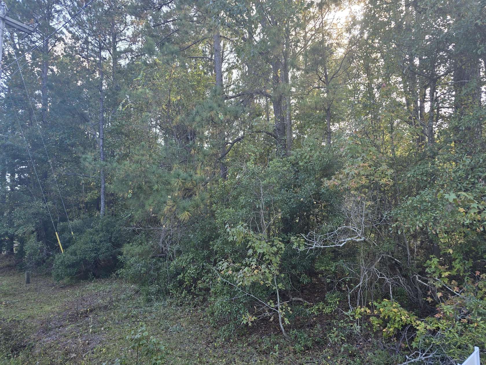 1.8 Acres of Land for Sale in Moncks Corner, South Carolina