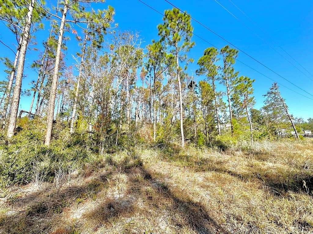 0.51 Acres of Residential Land for Sale in Steinhatchee, Florida