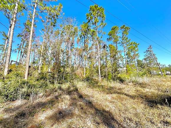 0.51 Acres of Residential Land for Sale in Steinhatchee, Florida