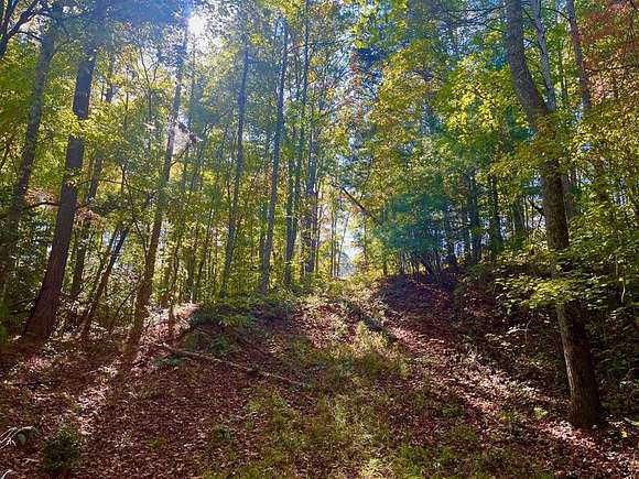 4.13 Acres of Residential Land for Sale in Ellijay, Georgia