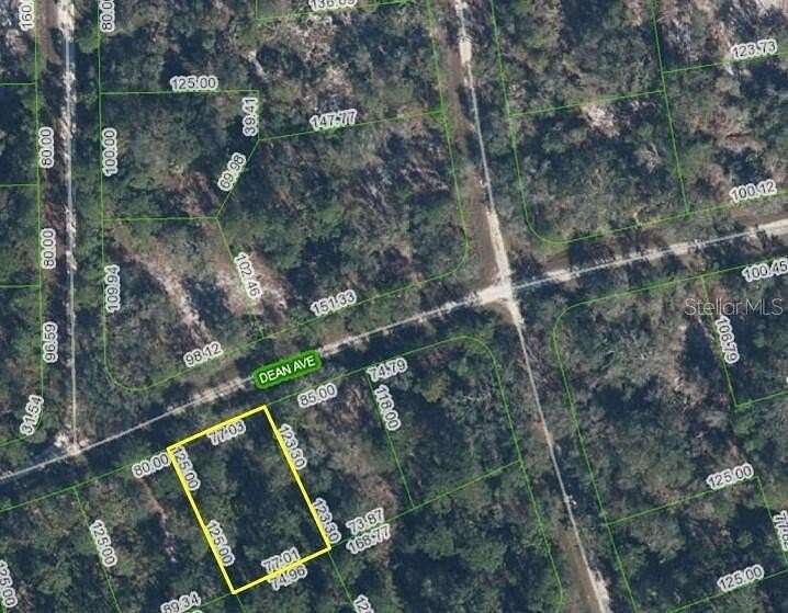 0.24 Acres of Residential Land for Sale in Lake Placid, Florida