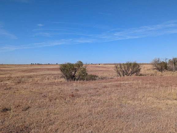 80 Acres of Agricultural Land for Auction in Douglas, Oklahoma