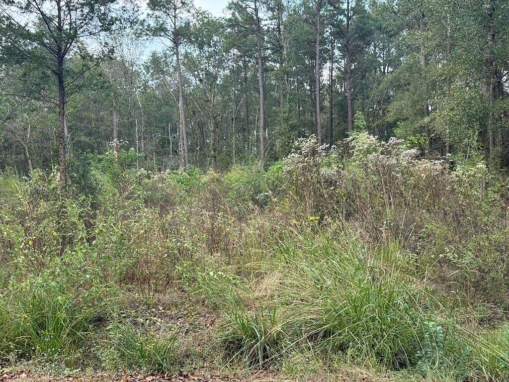 0.54 Acres of Residential Land for Sale in Lufkin, Texas