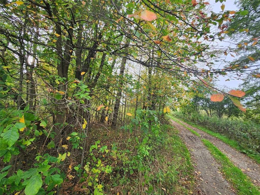 41.6 Acres of Land for Sale in McKean, Pennsylvania