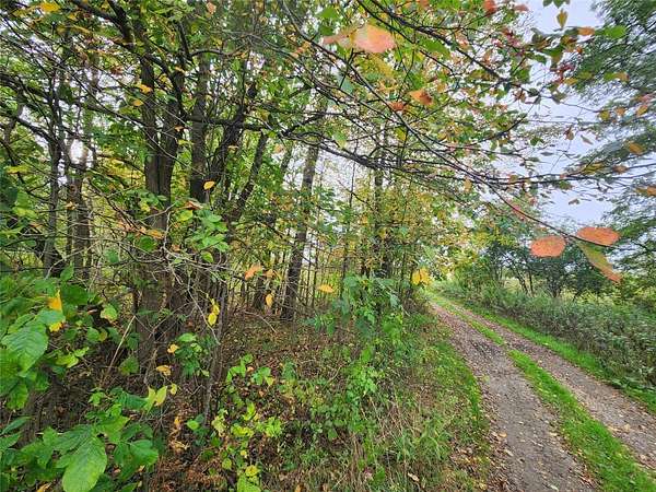 41.6 Acres of Land for Sale in McKean, Pennsylvania