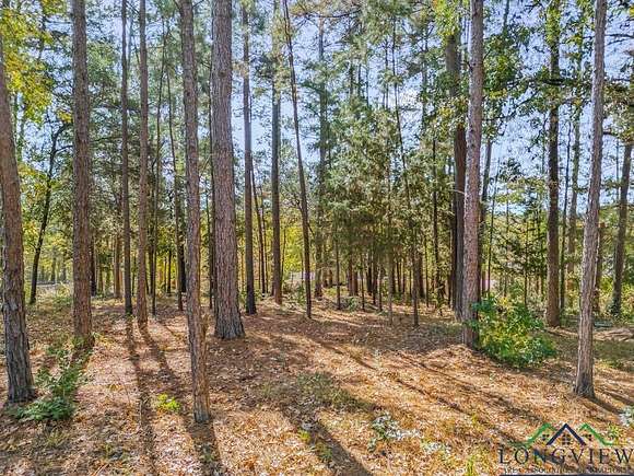 0.468 Acres of Residential Land for Sale in Gilmer, Texas