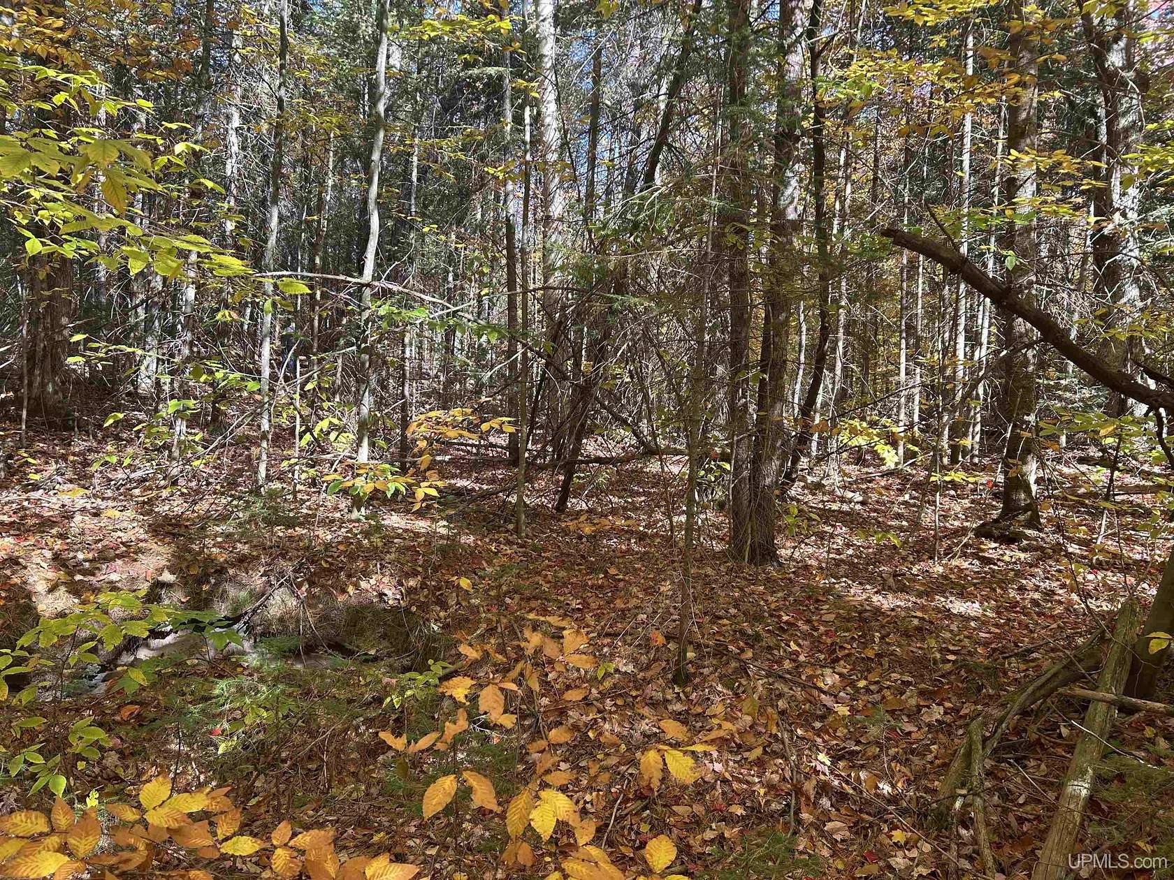 35 Acres of Land for Sale in Manistique Township, Michigan