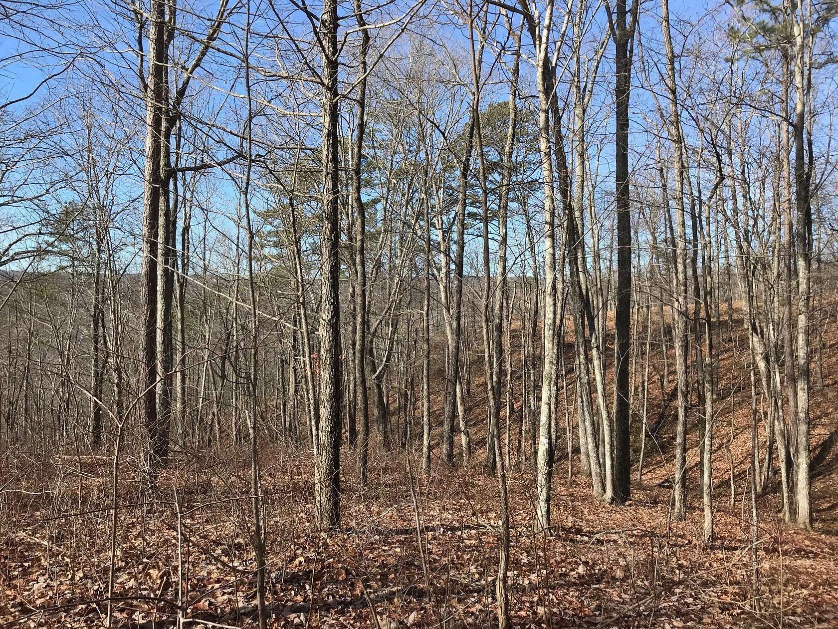 3.45 Acres of Residential Land for Sale in Dunlap, Tennessee