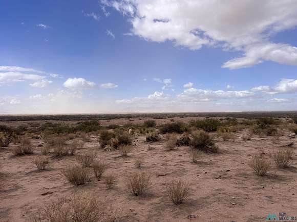 240 Acres of Agricultural Land for Sale in Deming, New Mexico