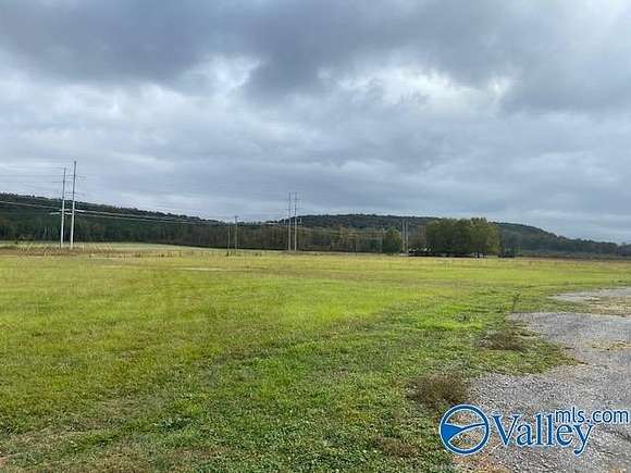 80 Acres of Land for Sale in Trinity, Alabama