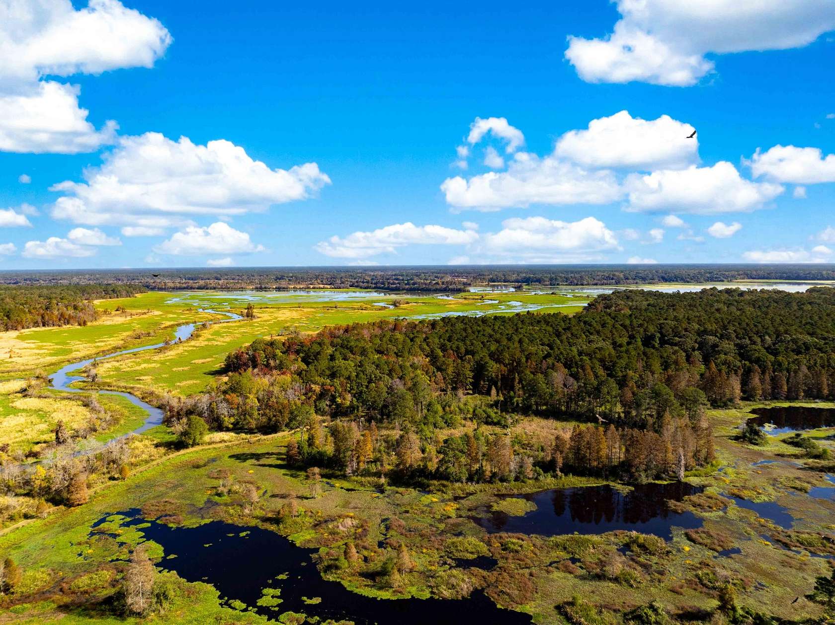 311 Acres of Recreational Land for Sale in Moncks Corner, South Carolina