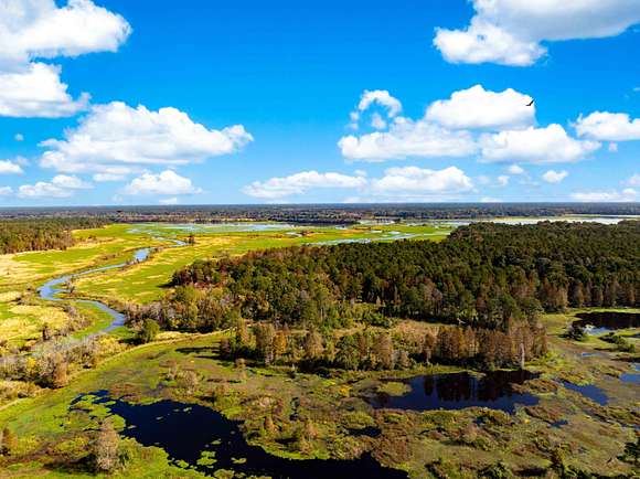 311.29 Acres of Recreational Land & Farm for Sale in Moncks Corner, South Carolina