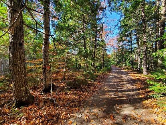 10.6 Acres of Agricultural Land for Sale in Beddington, Maine