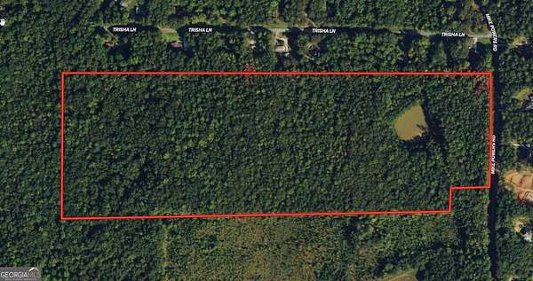 62 Acres of Recreational Land for Sale in Grantville, Georgia