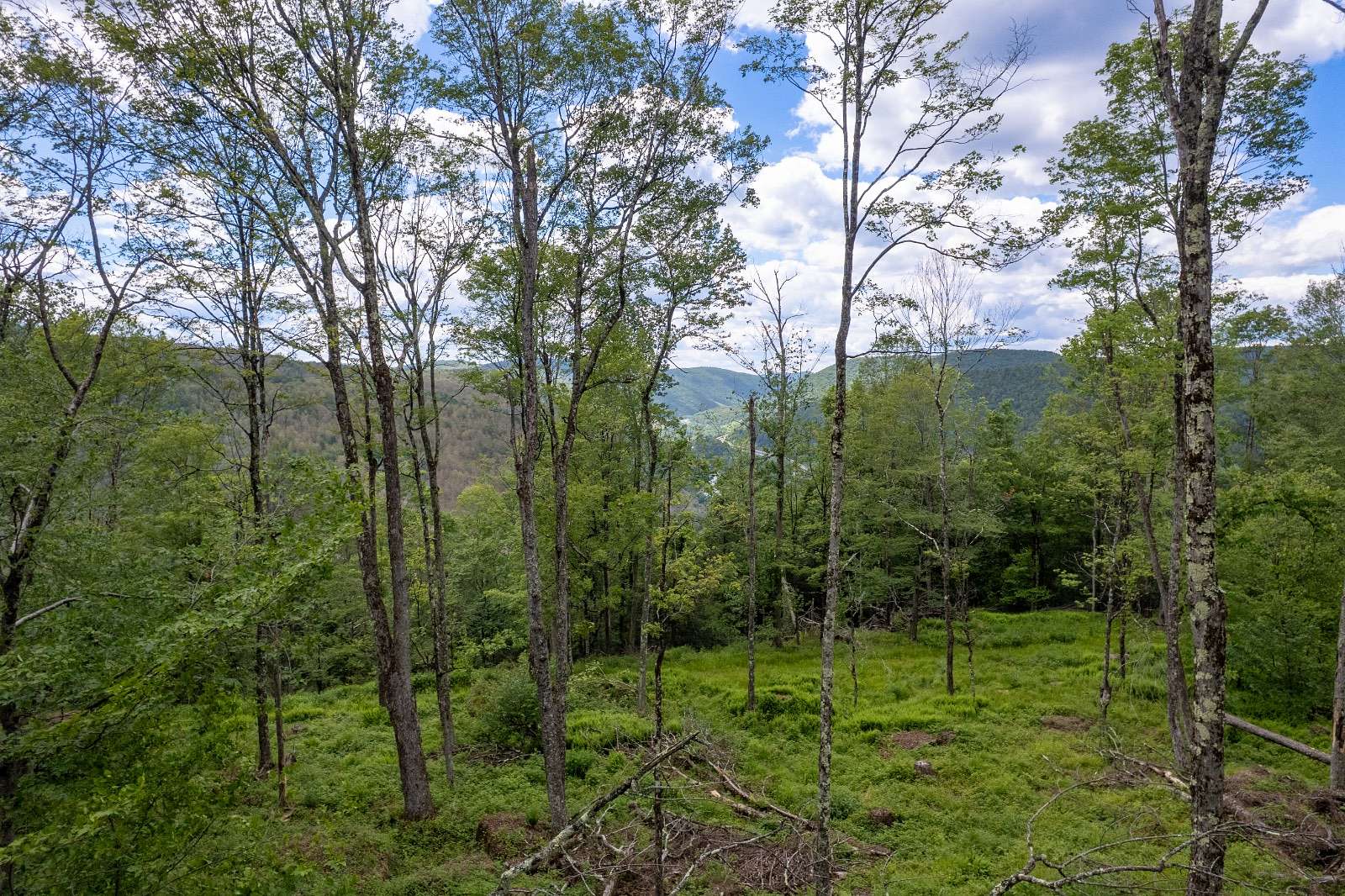 91.2 Acres of Recreational Land for Sale in Hancock, New York