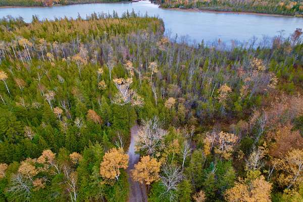 9.1 Acres of Land for Sale in Presque Isle, Michigan