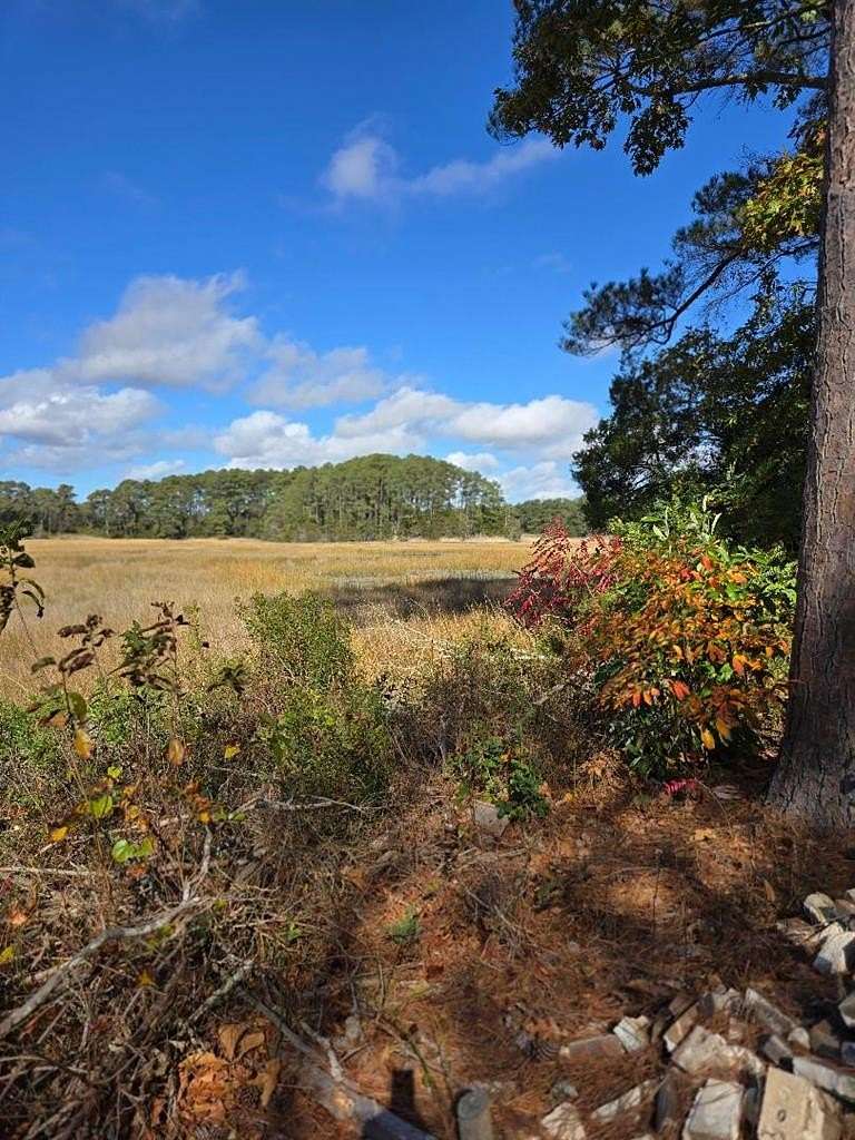 1.1 Acres of Residential Land for Sale in Parksley, Virginia
