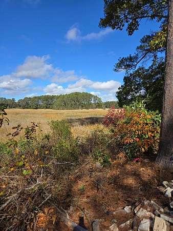 1.1 Acres of Residential Land for Sale in Parksley, Virginia