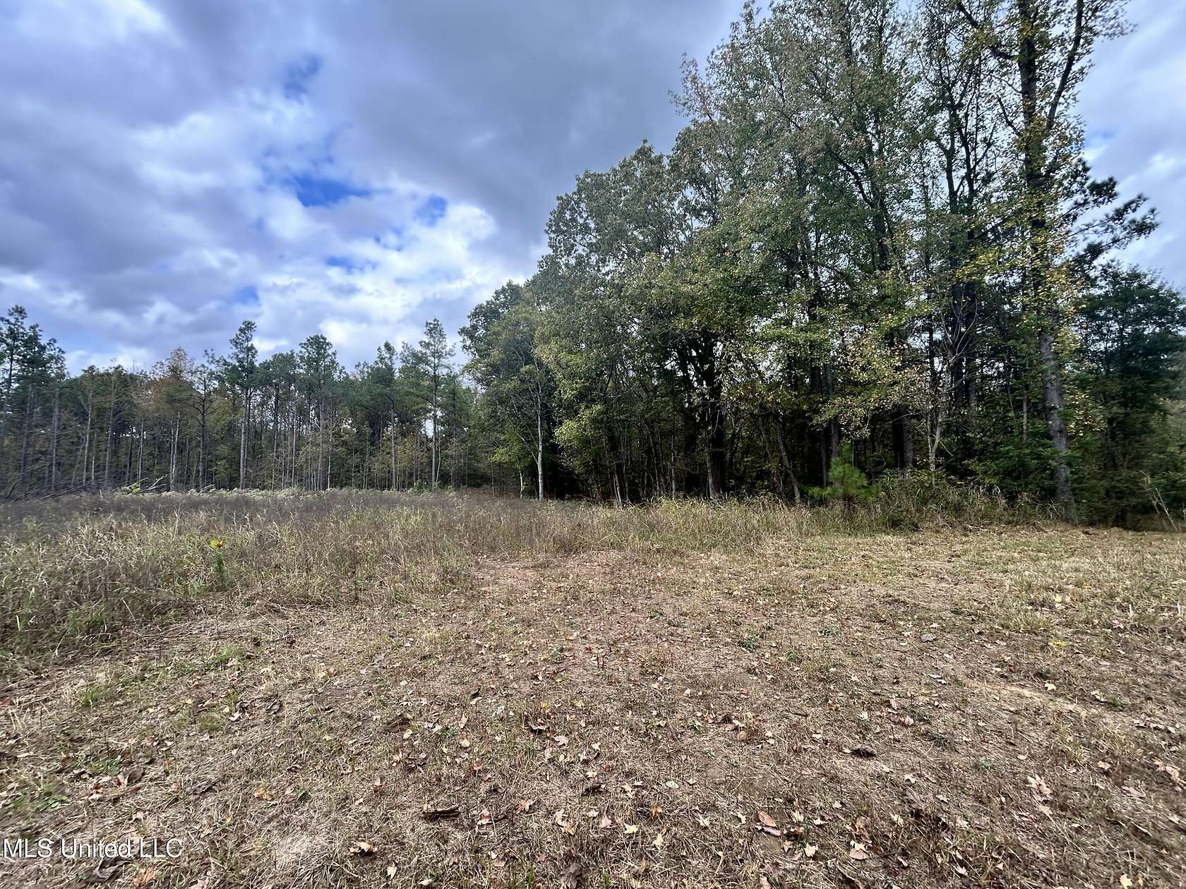 2.3 Acres of Residential Land for Sale in Sarah, Mississippi