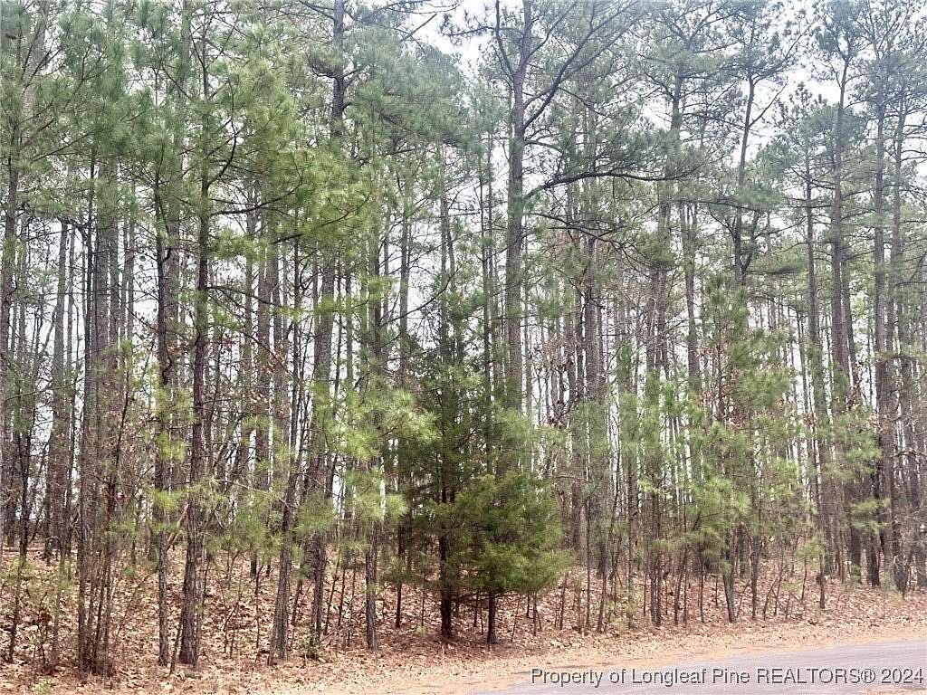 1.02 Acres of Residential Land for Sale in West End, North Carolina