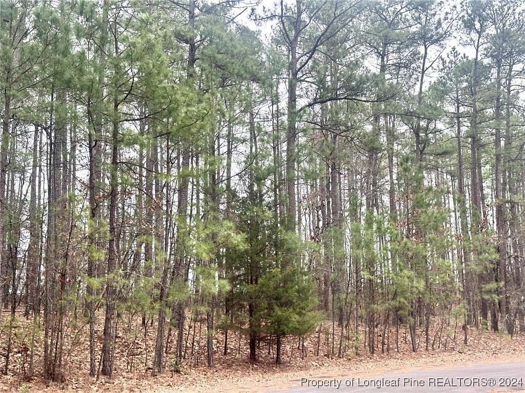 1 Acre of Residential Land for Sale in West End, North Carolina