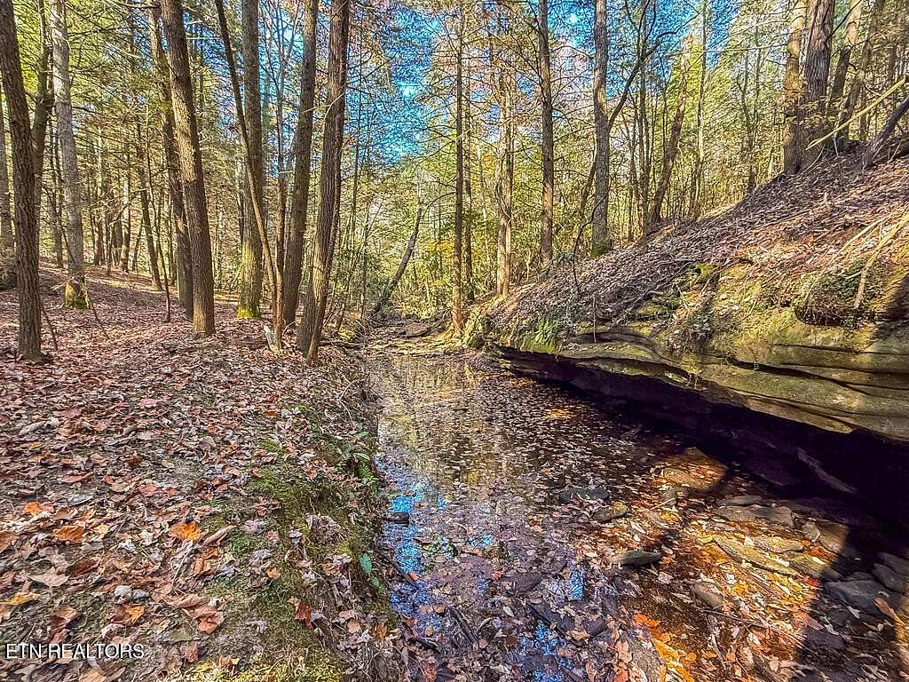 27.14 Acres of Recreational Land for Sale in Deer Lodge, Tennessee