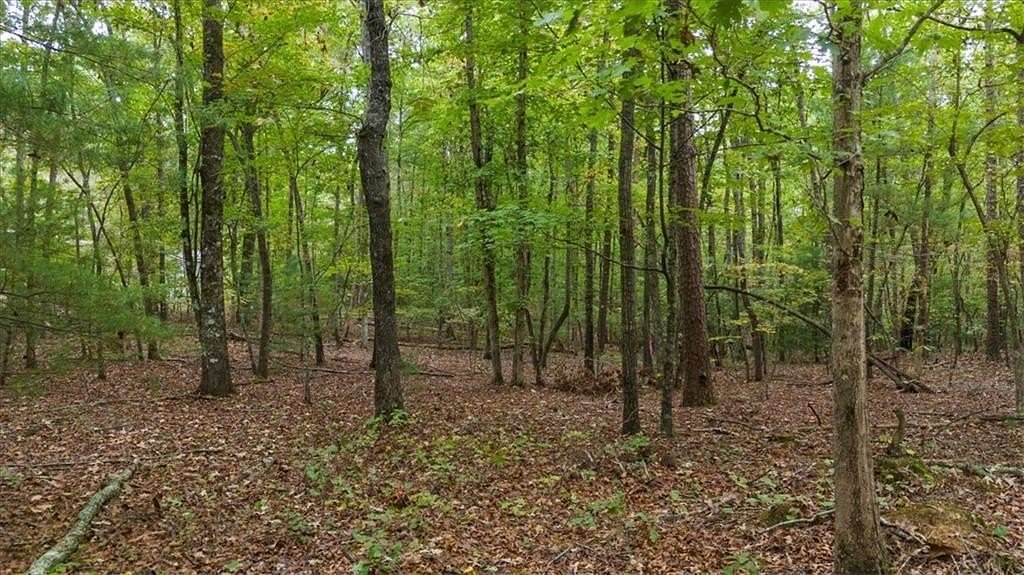2.66 Acres of Residential Land for Sale in Dawsonville, Georgia