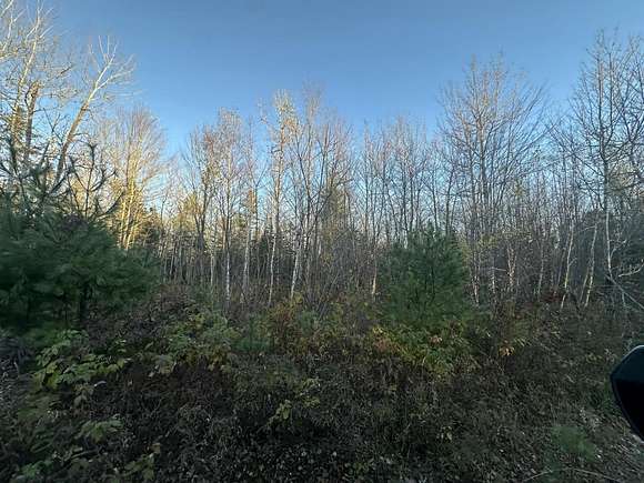 1.18 Acres of Residential Land for Sale in Surry, Maine