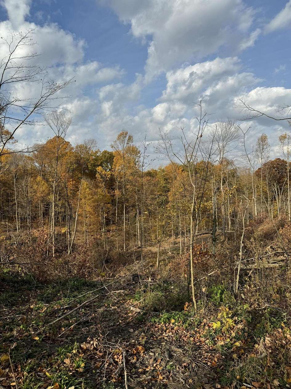 80 Acres of Recreational Land for Sale in Jones, Michigan