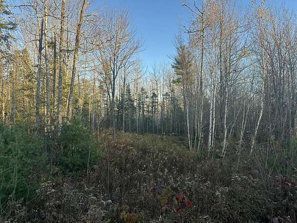 1.18 Acres of Residential Land for Sale in Surry, Maine