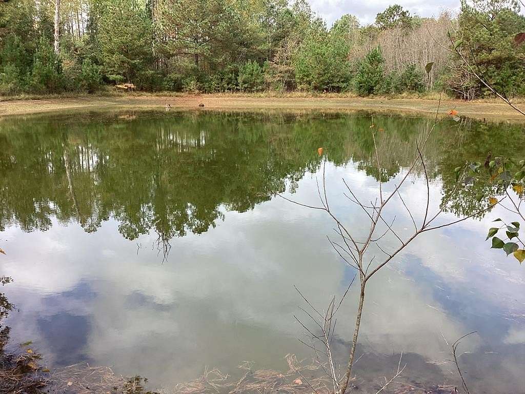 15 Acres of Recreational Land with Home for Sale in Georgiana, Alabama