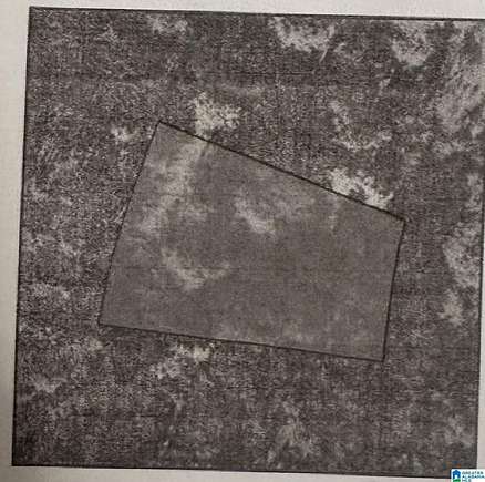 0.35 Acres of Land for Sale in Alpine, Alabama