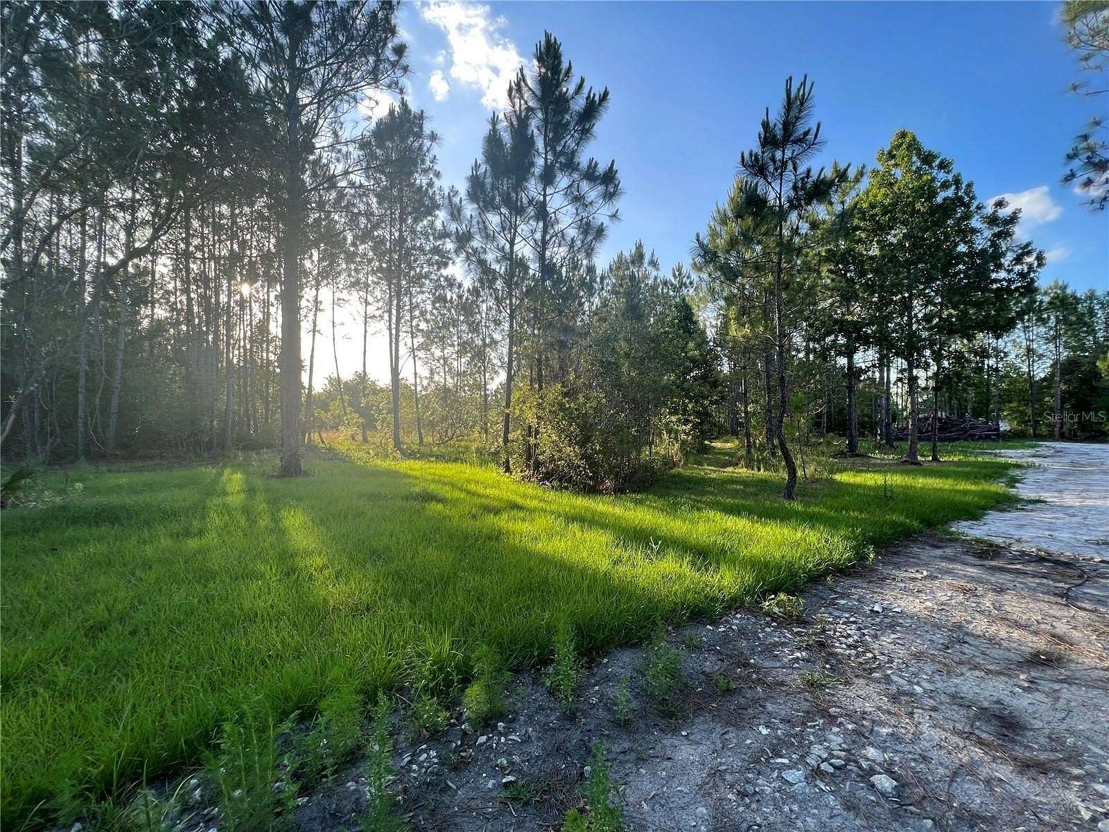 1.06 Acres of Residential Land for Sale in Wesley Chapel, Florida