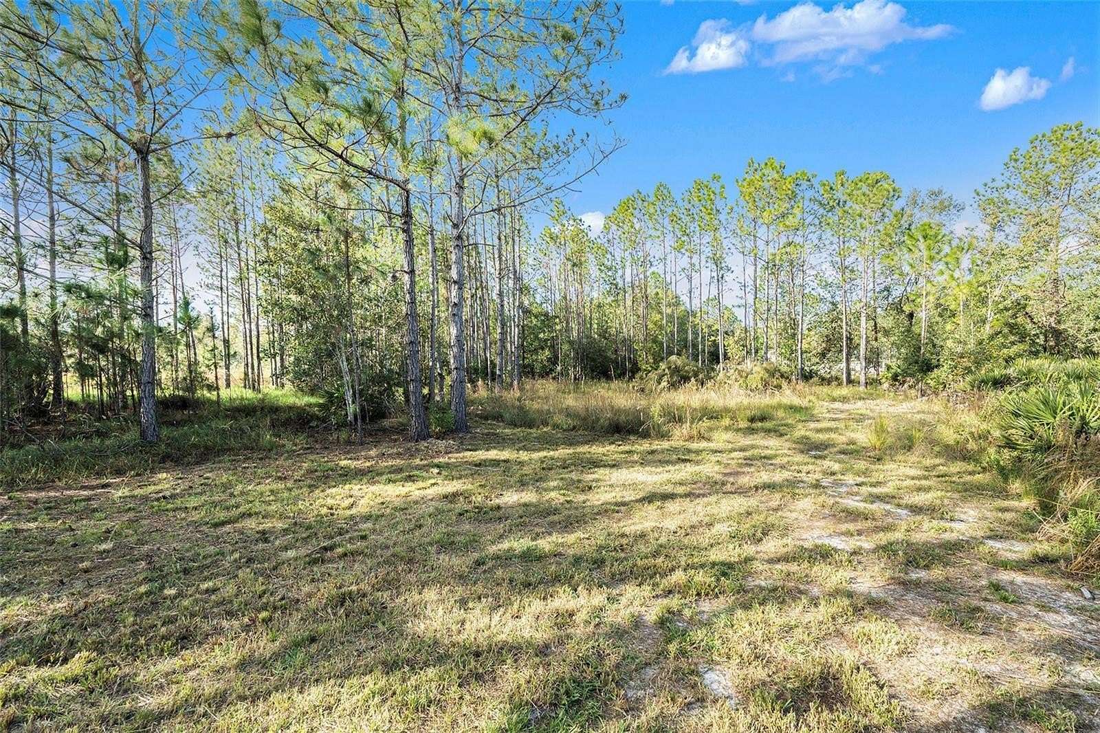 1.06 Acres of Residential Land for Sale in Wesley Chapel, Florida