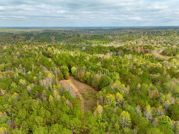 80 Acres of Recreational Land for Sale in Dadeville, Alabama