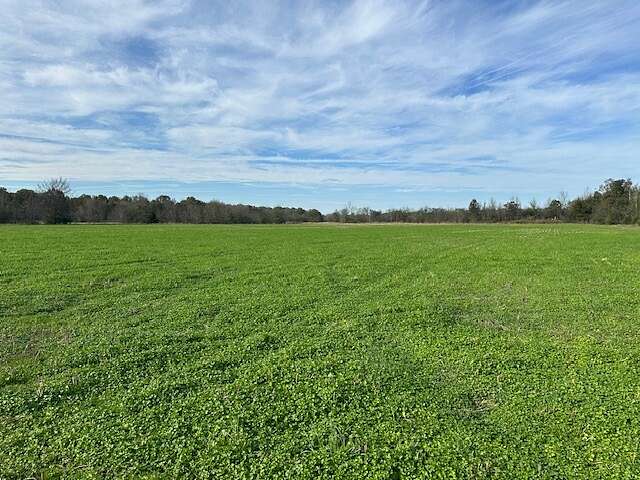 78.5 Acres of Recreational Land & Farm for Sale in Russellville, Alabama