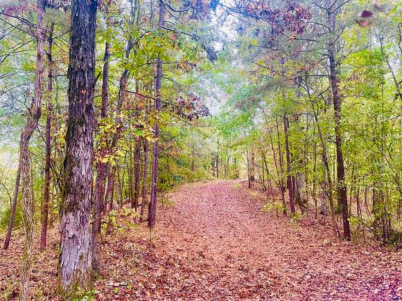 20 Acres of Recreational Land for Sale in Thomasville, Alabama