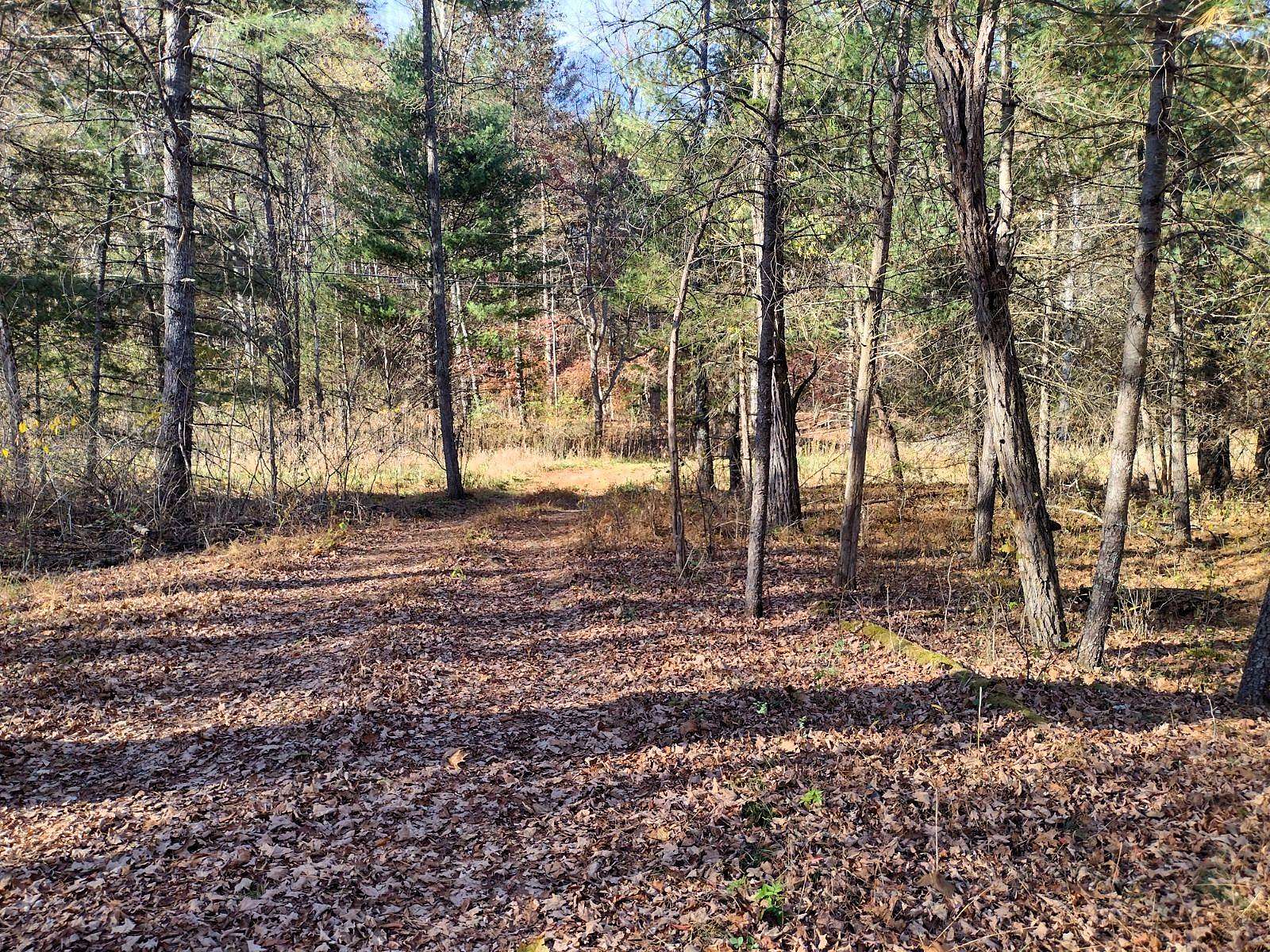 5.62 Acres of Land for Sale in Fulks Run, Virginia