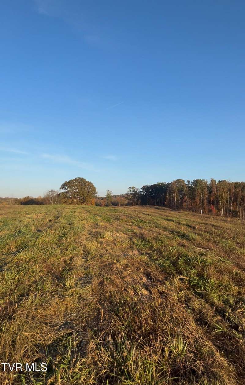 0.94 Acres of Residential Land for Sale in Strawberry Plains, Tennessee