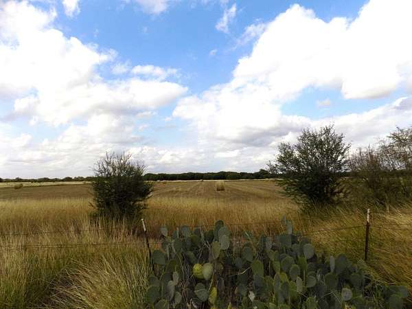 10.5 Acres of Land for Sale in Quemado, Texas
