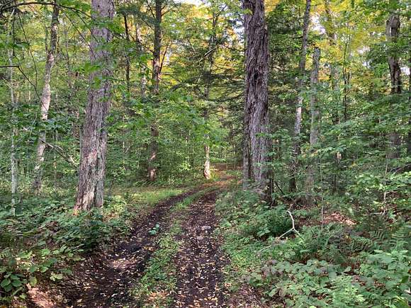 42 Acres of Recreational Land for Sale in Stratford, New York