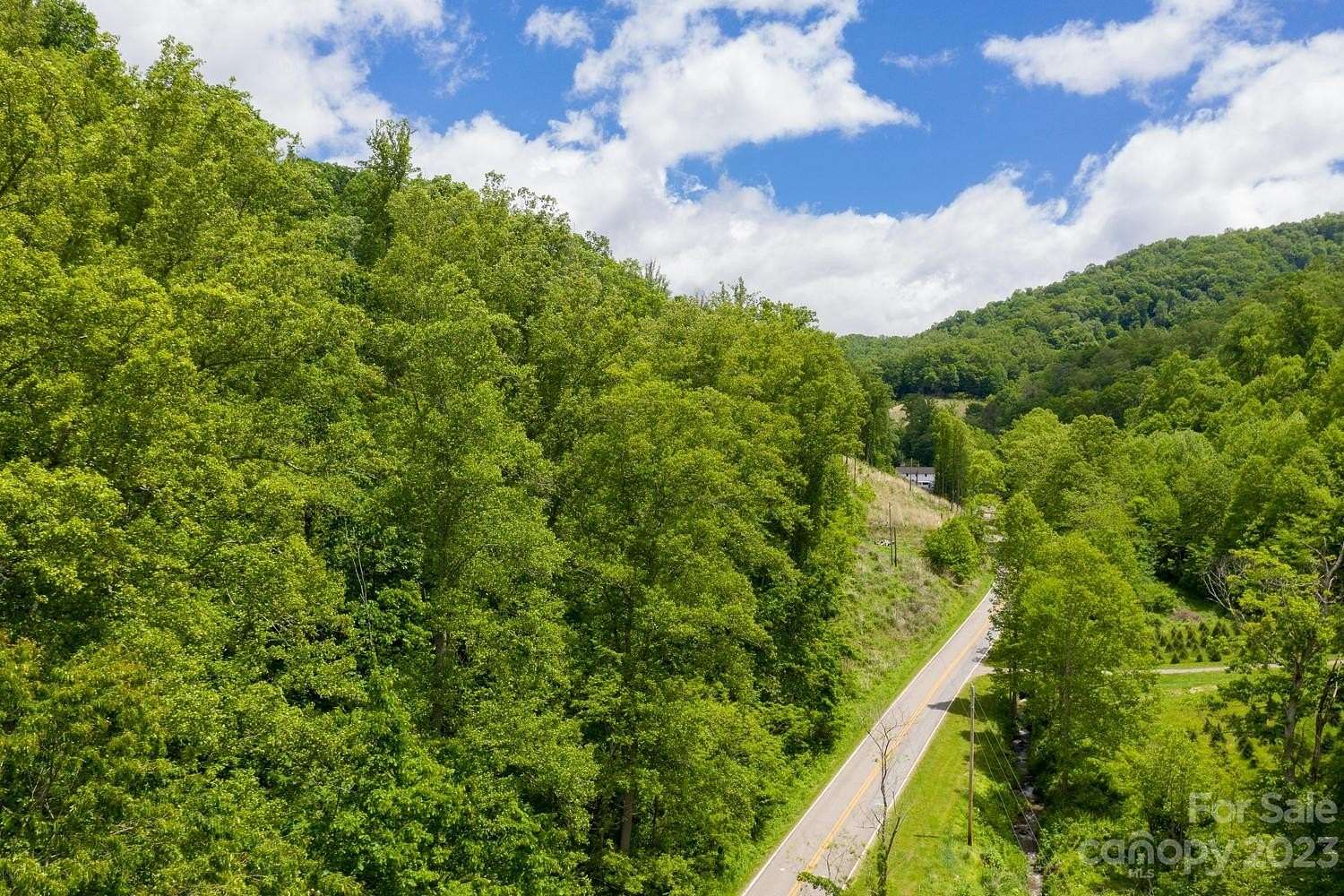 17.5 Acres of Land for Sale in Mars Hill, North Carolina