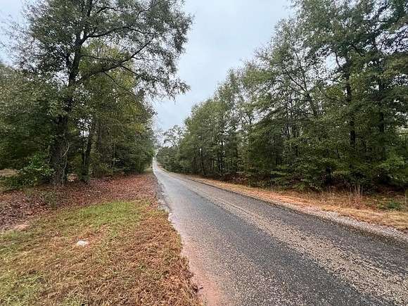 30 Acres of Recreational Land for Sale in Eufaula, Alabama